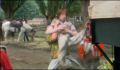 dr dolittle 3-avi_582.jpg